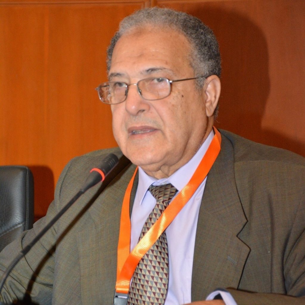 Photo of Prof. Ahmed Gaffer Hegazi