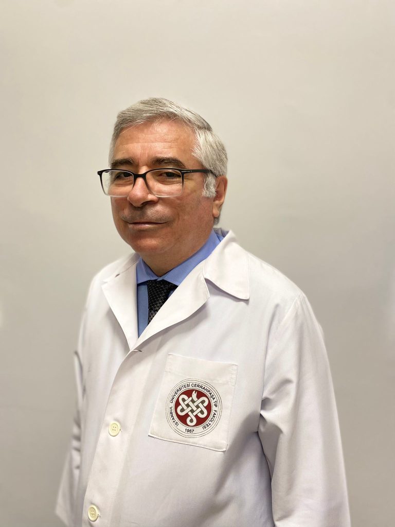 Photo of Prof. Erdal Polat