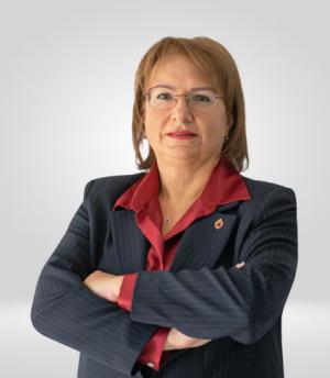 Photo of Prof. Ayşegül Taylan Özkan